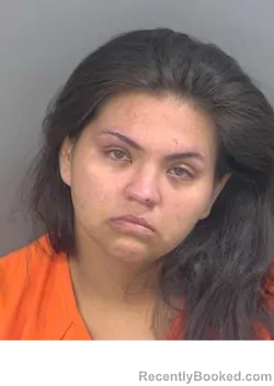 Mugshot of VALERIE RICO booked in Collier County, Florida on May 14, 2026