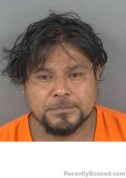 Mugshot of LUIS PEDRO MARTINEZVASQUEZ booked in Collier County, Florida on May 15, 2026