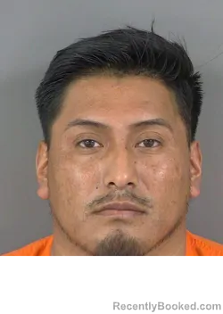 Mugshot of ALEXANDER EMETERIO GARCIA booked in Collier County, Florida on May 16, 2026