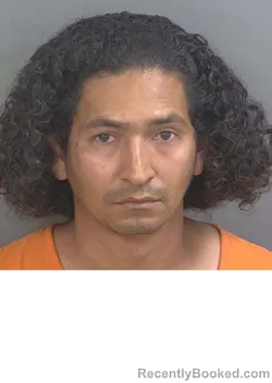 Mugshot of MARLON HUMBERTO CAZARES booked in Collier County, Florida on May 16, 2026