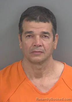 Mugshot of NIELSON LOBAINA-COLUMBIE booked in Collier County, Florida on May 17, 2026