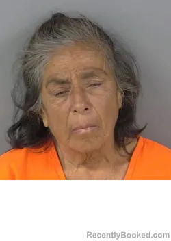 Mugshot of JESUSITA GAUDALUPE RODRIGUEZ booked in Collier County, Florida on May 18, 2026