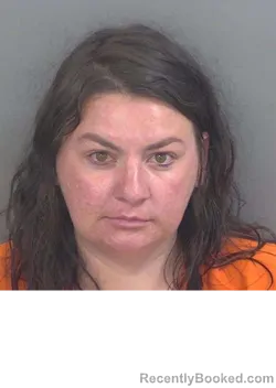 Mugshot of TARYN SHEA LEWIS booked in Collier County, Florida on May 19, 2026