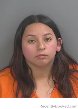 Mugshot of KARINA HERNANDEZGONZALEZ booked in Collier County, Florida on May 20, 2026