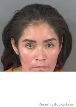 Mugshot of MICAELA ANTONIOVASQUEZ booked in Collier County, Florida on June 2, 2026