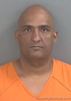 Mugshot of PANTER COLONTABOADA booked in Collier County, Florida on June 2, 2026
