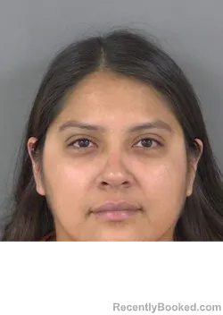 Mugshot of JULIZA DANIELLE MARTINEZ booked in Collier County, Florida on June 3, 2026
