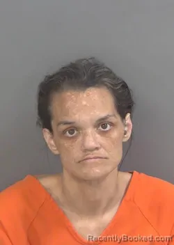 Mugshot of ARIEL RAELENE THAMMAVONG booked in Collier County, Florida on June 4, 2026