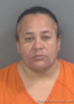 Mugshot of LORRAINE FONG booked in Collier County, Florida on June 5, 2026