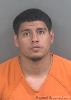 Mugshot of LUIS CASTILLO booked in Collier County, Florida on June 14, 2026