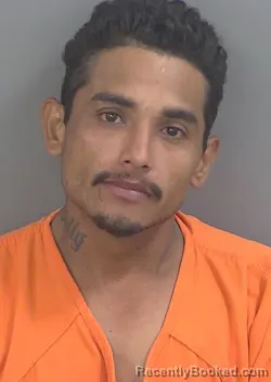 Mugshot of ALEXIS SALAZARGARCIA booked in Collier County, Florida on June 20, 2026