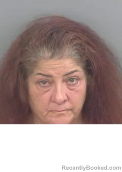Mugshot of TRACY MELISSA SRYBNIKDEPASQUALE booked in Collier County, Florida on June 20, 2026