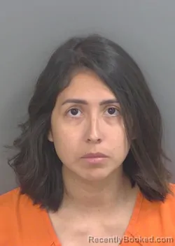Mugshot of PAOLA LISEETH ROSALES booked in Collier County, Florida on June 21, 2026
