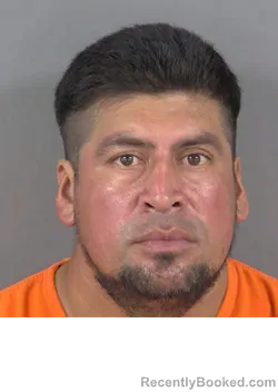 Mugshot of JAIME FRANCISCO DE JESUS SAYESJOGE booked in Collier County, Florida on June 21, 2026