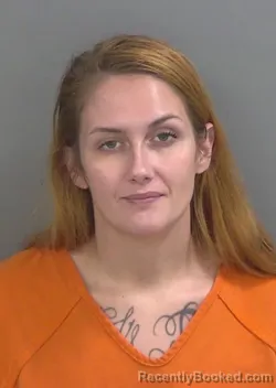 Mugshot of ANSLEE BOYLE booked in Collier County, Florida on June 22, 2026