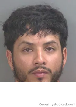 Mugshot of JUAN ESTEBAN ROLDANRESTREPO booked in Collier County, Florida on June 24, 2026