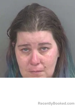 Mugshot of DIANA JEAN MCLAUGHLIN booked in Collier County, Florida on June 23, 2026