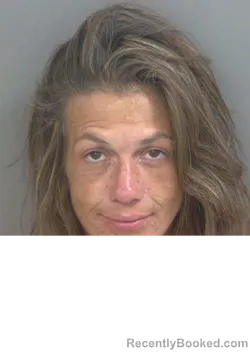 Mugshot of BRANDI PERRI booked in Collier County, Florida on June 24, 2026