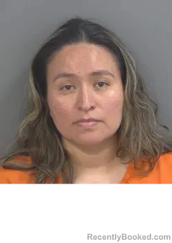Mugshot of SONIA HERNANDEZTORRES booked in Collier County, Florida on June 26, 2026