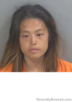 Mugshot of CRYSTAL TANSIHUA booked in Collier County, Florida on June 26, 2026