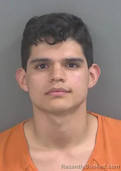 Mugshot of KENNETH GILBERTO ALARCON booked in Collier County, Florida on June 27, 2026