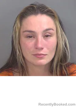 Mugshot of HAYLEE J LEWIS booked in Collier County, Florida on June 28, 2026