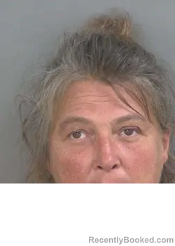 Mugshot of NORMA SUE GABLE booked in Collier County, Florida on June 28, 2026