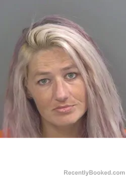 Mugshot of JORDYN DEMERE booked in Collier County, Florida on June 29, 2026