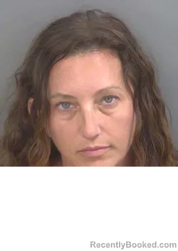 Mugshot of NICOLE LIEBERMAN booked in Collier County, Florida on June 28, 2026