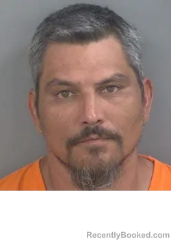 Mugshot of ALEXANDRE VALDES booked in Collier County, Florida on July 1, 2026