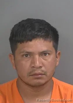 Mugshot of FRANCISCO GUDALUPE HERNANDEZAGRED booked in Collier County, Florida on July 1, 2026