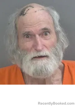 Mugshot of ROBERT LEE WALLIS booked in Collier County, Florida on July 1, 2026