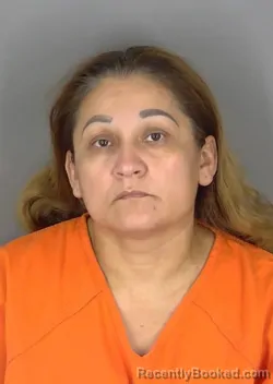 Mugshot of LILLIAM DELSOCORRO GONZALEZ booked in Collier County, Florida on July 2, 2026