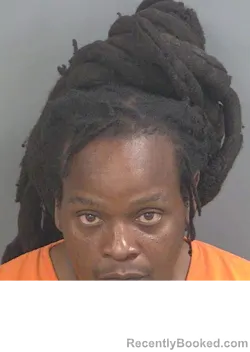 Mugshot of CEDRIC JERMAINE GIBSON booked in Collier County, Florida on July 3, 2026