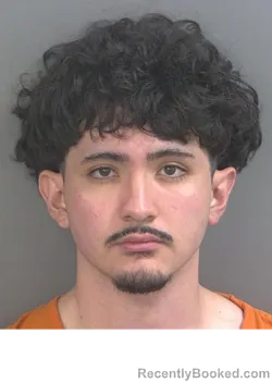 Mugshot of GERARDO ALMAGUER booked in Collier County, Florida on July 3, 2026