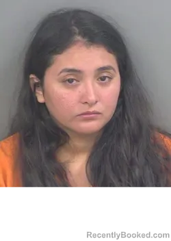 Mugshot of CLARA ESBEYDI SALINASLOZADA booked in Collier County, Florida on July 4, 2026