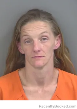 Mugshot of AMBER ROSE EVANS booked in Collier County, Florida on July 6, 2026