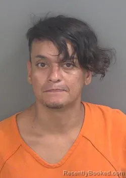 Mugshot of PORFIRIO CISNEROS booked in Collier County, Florida on July 6, 2026