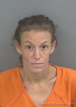 Mugshot of NICOLE MARIE ANADELL booked in Collier County, Florida on July 7, 2026