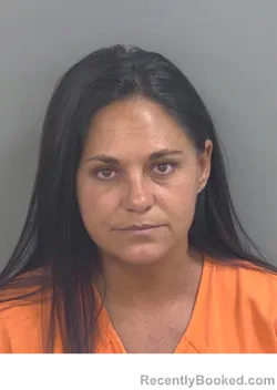 Mugshot of CHRISTINA MICHELLE SIONGCO booked in Collier County, Florida on July 9, 2026