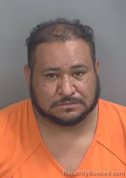 Mugshot of WILMER JAVIER ROMERO booked in Collier County, Florida on July 9, 2026