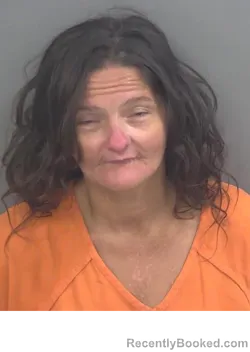 Mugshot of AMBER HAMLER booked in Collier County, Florida on July 9, 2026