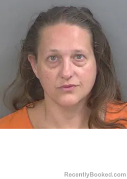 Mugshot of MELISSA AMBERGAIL HAWKINS booked in Collier County, Florida on July 11, 2026