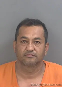 Mugshot of MARTIN RENE ZAMBRANONIEVES booked in Collier County, Florida on July 12, 2026