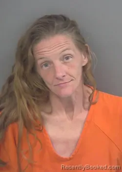 Mugshot of AMBER ROSE EVANS booked in Collier County, Florida on July 13, 2026