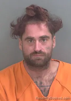 Mugshot of SHANE MICHAEL JOSEPH DIPAOLO booked in Collier County, Florida on July 13, 2026