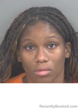 Mugshot of Stephanie Ducasse booked in Collier County, Florida on July 24, 2026