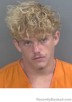 Mugshot of DAMIEN ROBERT BROWN booked in Collier County, Florida on July 25, 2026