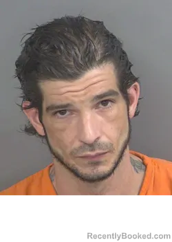 Mugshot of DOMINICK FRANCIS DELIA booked in Collier County, Florida on August 3, 2026