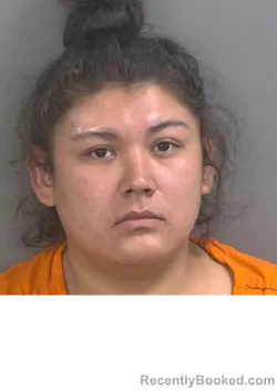 Mugshot of Anahi Trejo booked in Collier County, Florida on August 26, 2026